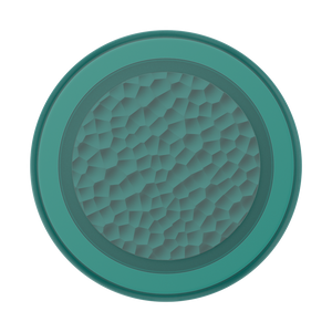 Enamel Hammered Fresh Pine PopGrip for MagSafe, PopSockets