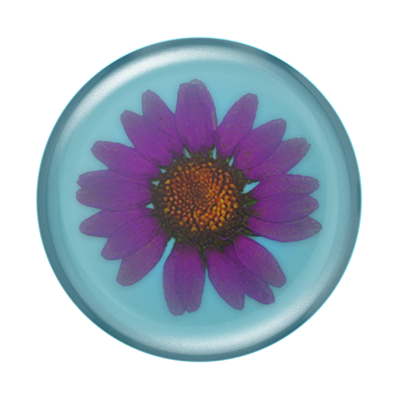 Purple Daisy Pressed Flower PopGrip