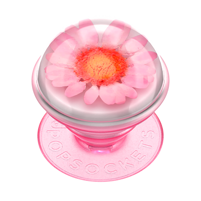 Pink Daisy Globe PopGrip