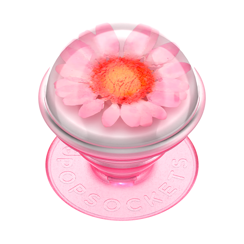 Pink Daisy Globe PopGrip